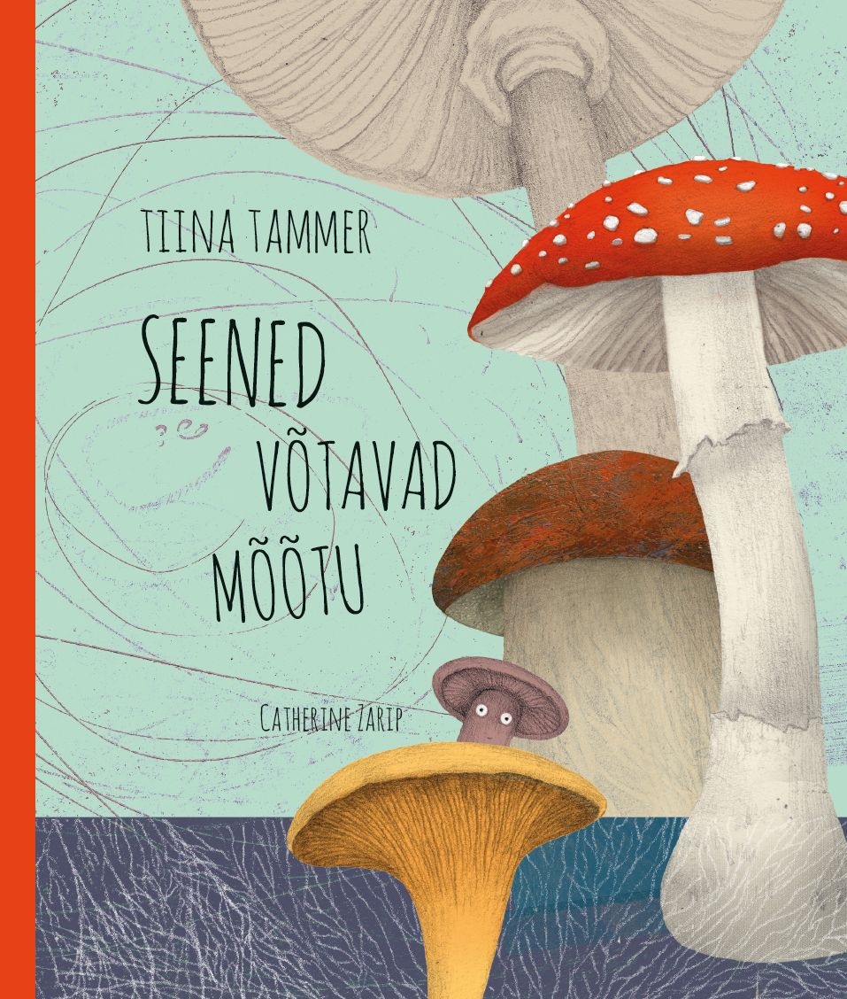 Seened võtavad mõõtu